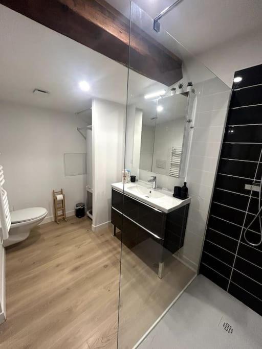 Apartamento Cocon Chaleureux Au Coeur De Mirepoix Mirepoix  Exterior foto